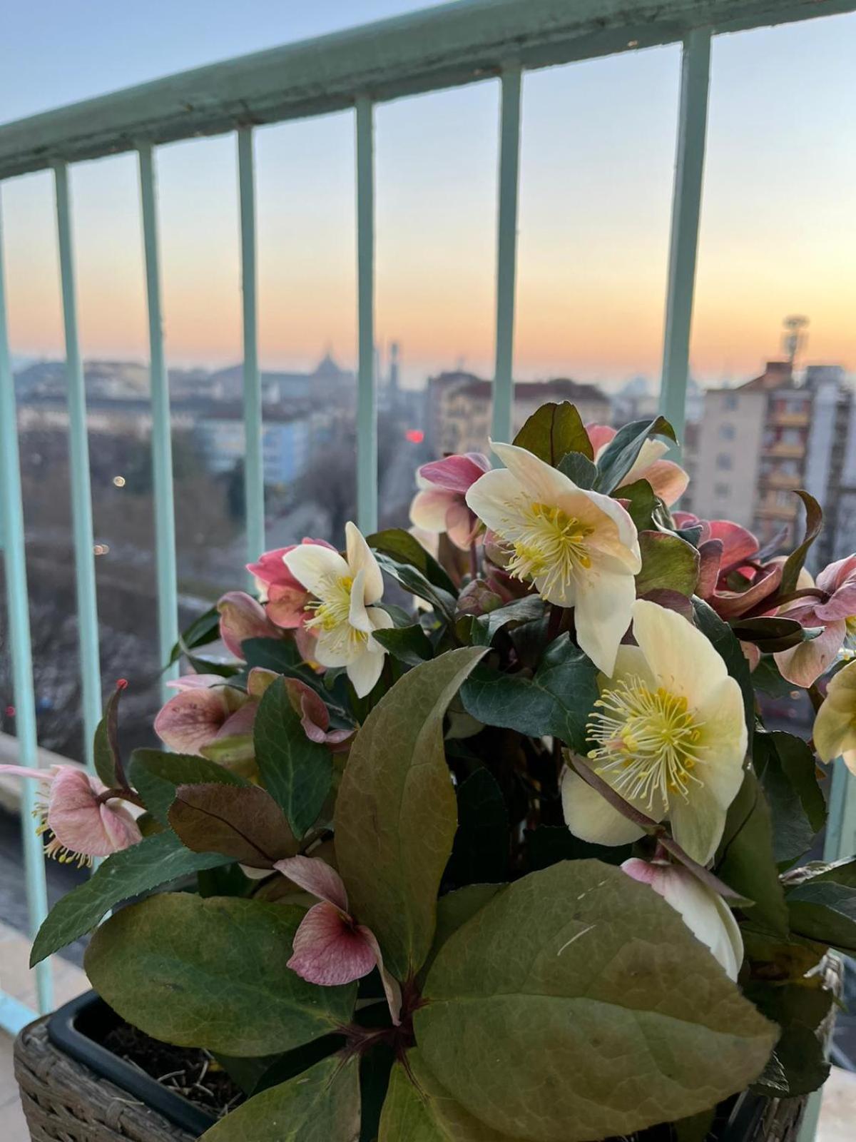 شقة Attico Ellen Terrazza Con Vista تورينو المظهر الخارجي الصورة